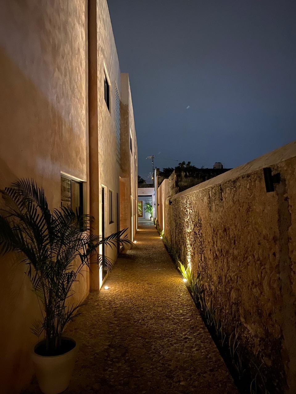 Hotelito Yum Kaax — patio nocturno